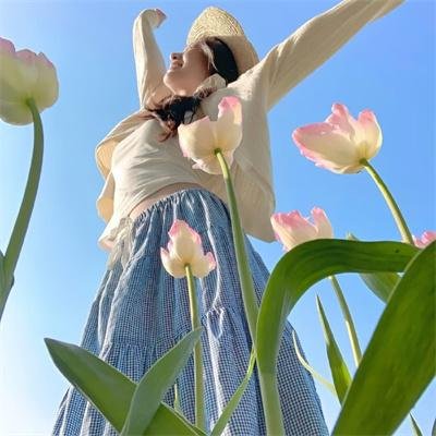 野地里的白兰地