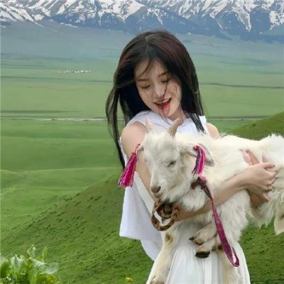 枪下无情